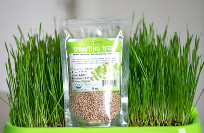 Seed Starting Microgreen Mix • خلطة زراعة البذور والميكروجرين - plantnmore