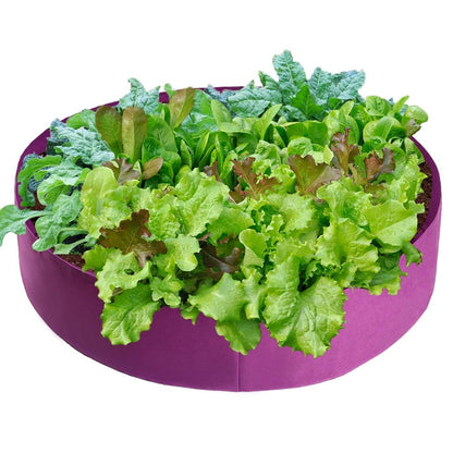 Purple Raised Bed 50 gallon ●  حوض ريزد بد ٥٠ غالون - plantnmore