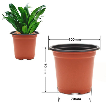 Transplanting Pot Small 12pc• احواض تشتيل صغيرة ١٢حبة - plantnmore