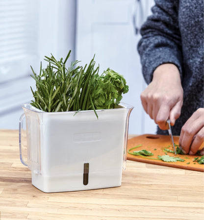 Herb Keeper • حافظة الأعشاب - plantnmore