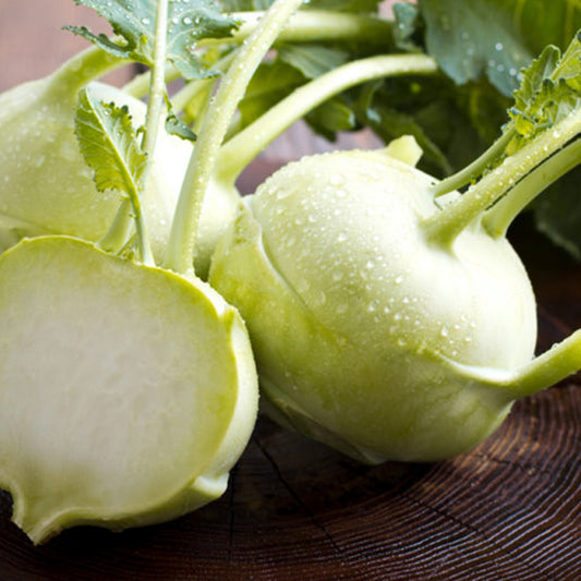 Kohlrabi Early White Vienna •  كولرابي أبيض - plantnmore