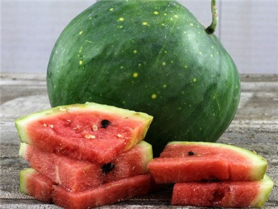 Watermelon Moon and Stars  • بطيخ القمر و النجوم - plantnmore