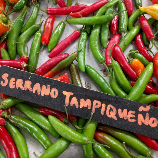 Pepper Serrano Tampiqueno