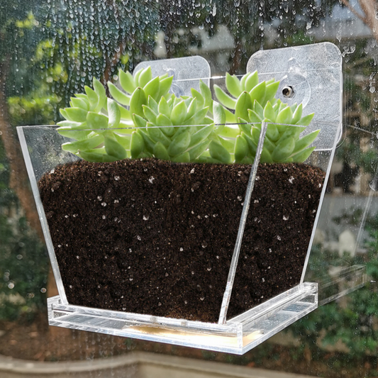 Window Garden Small •  حديقة النافذة الصغيرة - plantnmore