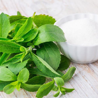 Stevia Sweet Herb • ستيفيا محلي طبيعي - plantnmore