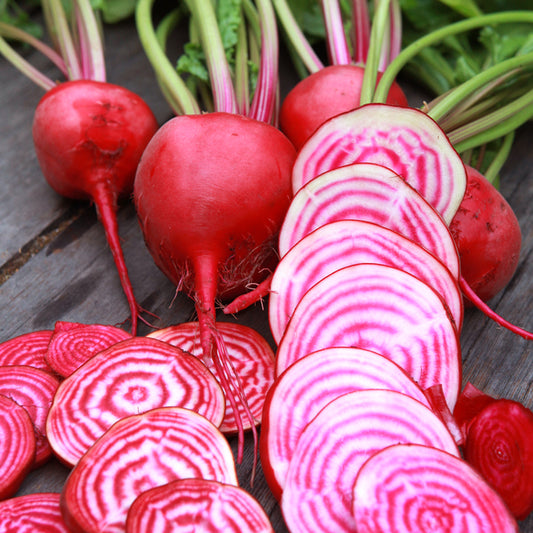 Beet Chioggia • شمندر مخطط - plantnmore