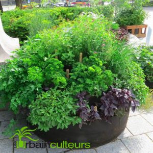 Fabric Raised Bed 100 gallon ● حوض ريزد بد ١٠٠ غالون - plantnmore