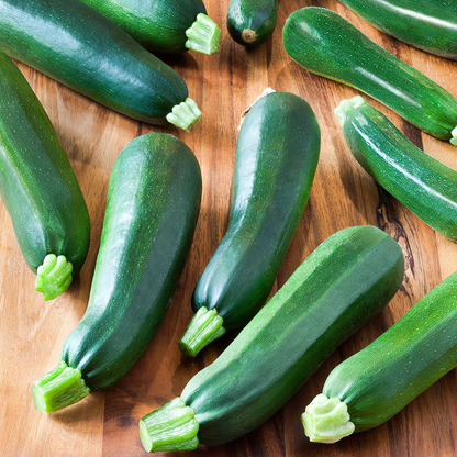 Zucchini Black Beauty • كوسى السوداء الجميلة - plantnmore