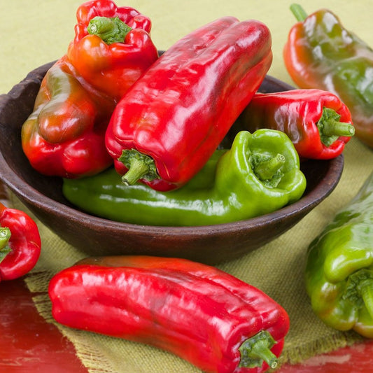 Cubanelle Pepper • فلفل كوبانيل - plantnmore