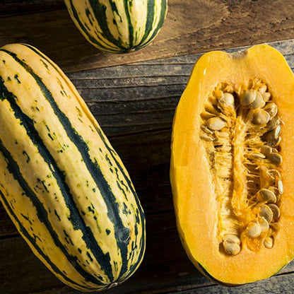 Delicata Pumpkin • قرع ديليكاتا - plantnmore