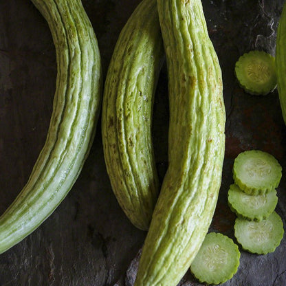 Cucumber Armenian • القثاء - plantnmore