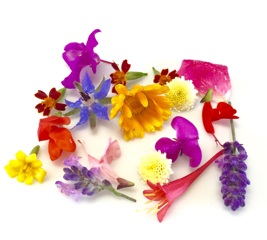 Edible Flower Seed Mix