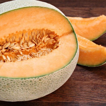 Hales Best Cantaloupe • شمام سكري - plantnmore