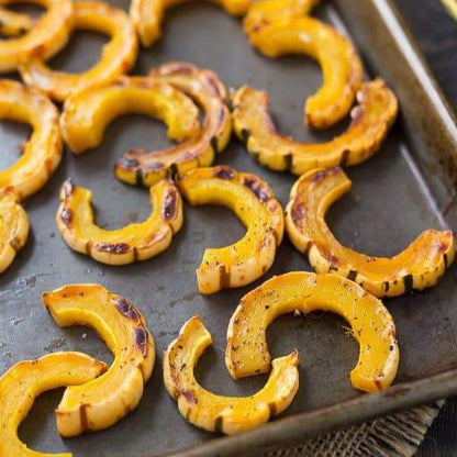 Delicata Pumpkin • قرع ديليكاتا - plantnmore