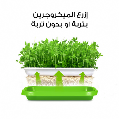 Sprouting Tray • صينية الإستنبات و الميكروجرين - plantnmore