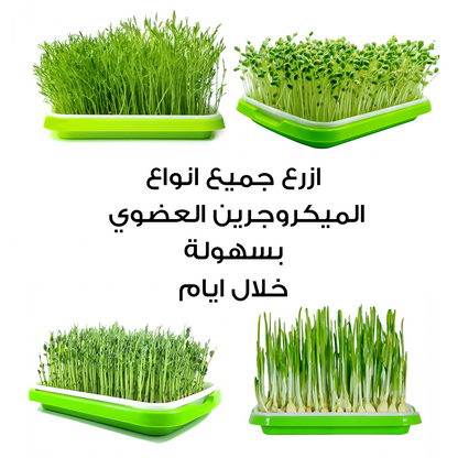 Complete Microgreen Set • طاولة الميكروجرين الشاملة - plantnmore