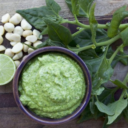 Newzealand Spinach