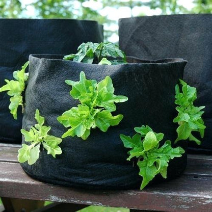 15 gallon Black Smart Pot Strap Handles ● حوض ١٥ غالون لون أسود مع مسكات متينة - plantnmore