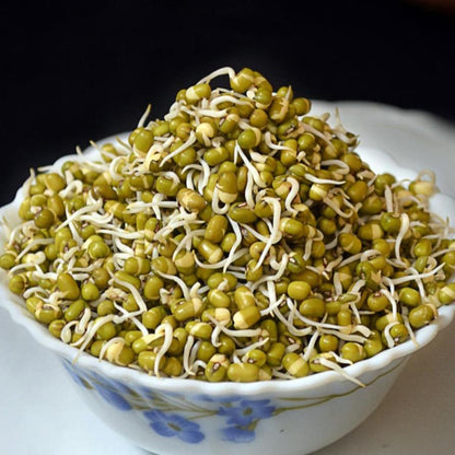 Green Lentils 114g • العدس الاخضر العضوي - plantnmore