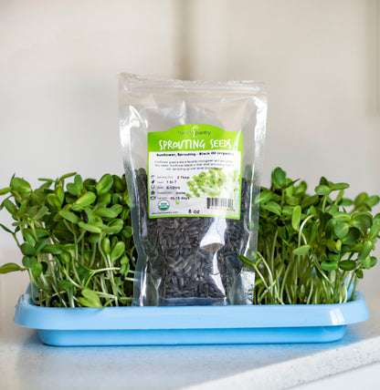 Seed Starting Microgreen Mix • خلطة زراعة البذور والميكروجرين - plantnmore